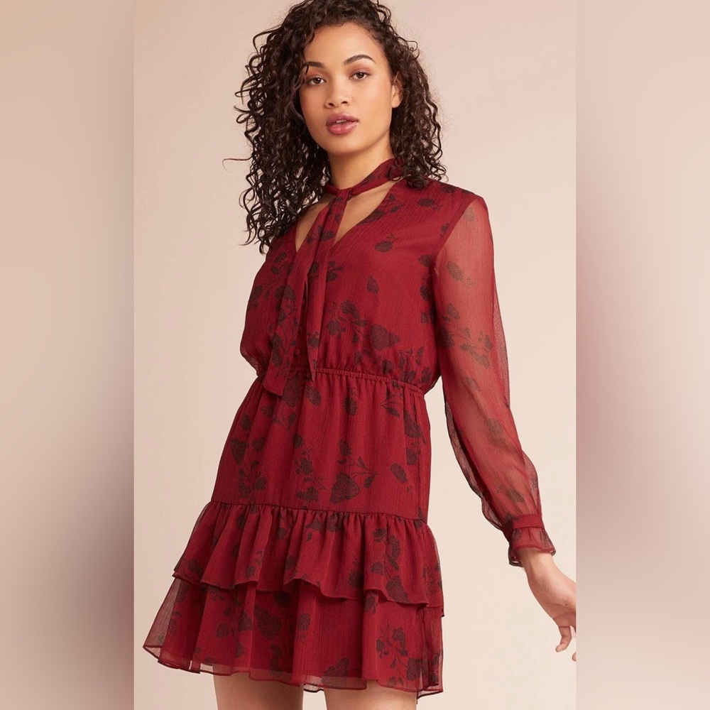 BB Dakota Women’s V-Neck With Tie Wine Down Dress